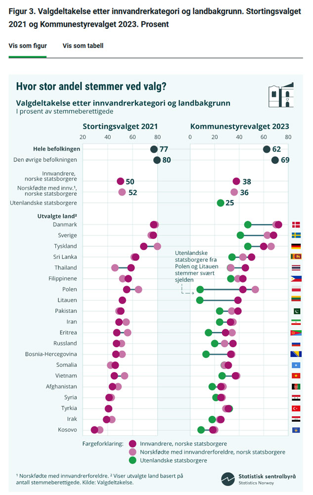 ssb valgdeltakelse etter innvandrerkategori og landbakgrunn